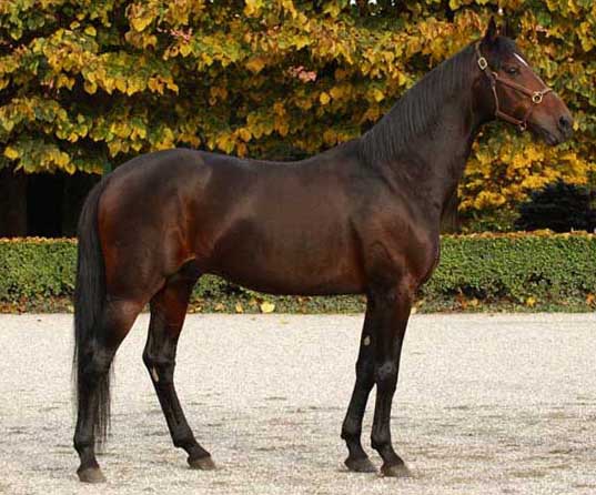 Varenne